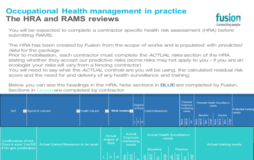 Extract of the two part health risk assessment template
