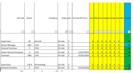 Screenshot of an Excel sheet showing the central FLS monitoring system