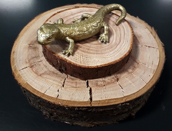 Picture of the Golden Newt Award trophy 