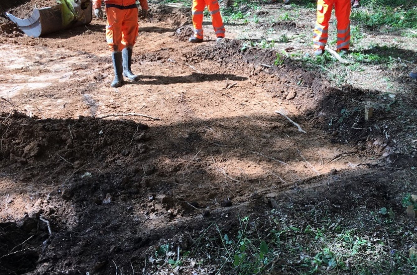 Picture of ancient woodland in Warwickshire following removal of soils at the donor site