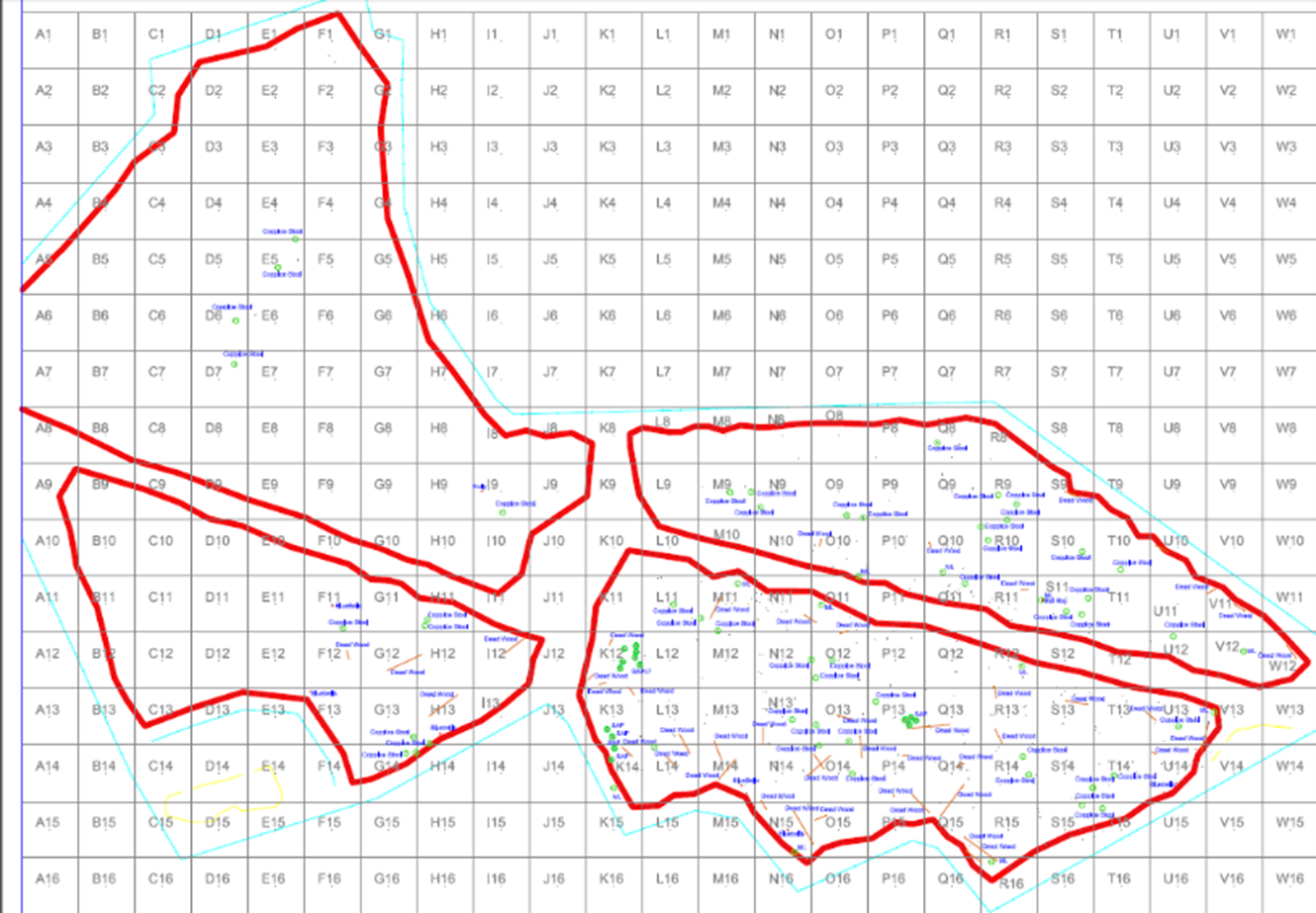 Map of a grid system from the donor and receptor sites