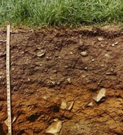 A picture containing agricultural topsoil 