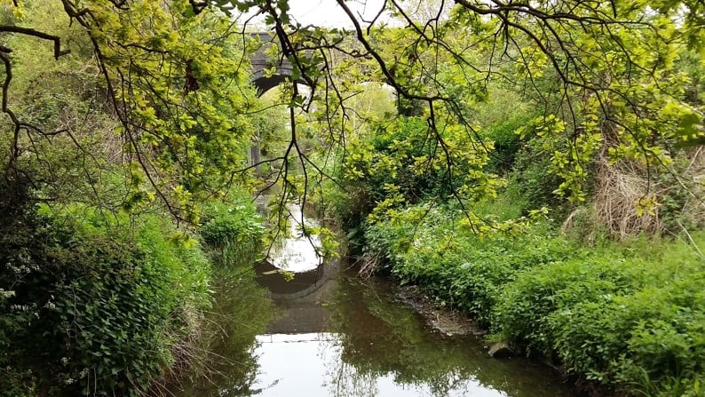 Picture  of  the River Pinn  showing the low baseflow watercourse 


