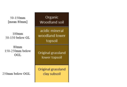 Diagram of receptor site soils after translocation 
