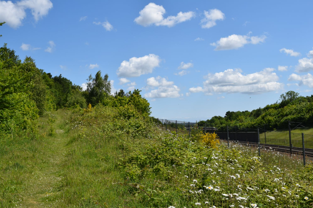 Picture of grassland beside rail tracks with identified strip for access