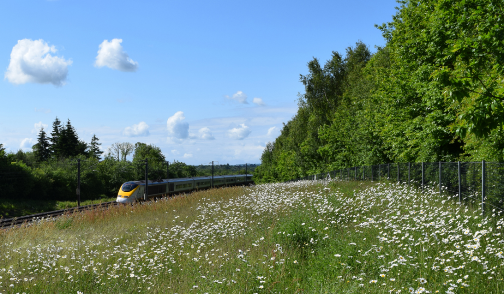 train-going-through-countryside-meadow