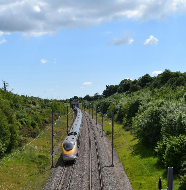 train-going-through-countryside-trees
