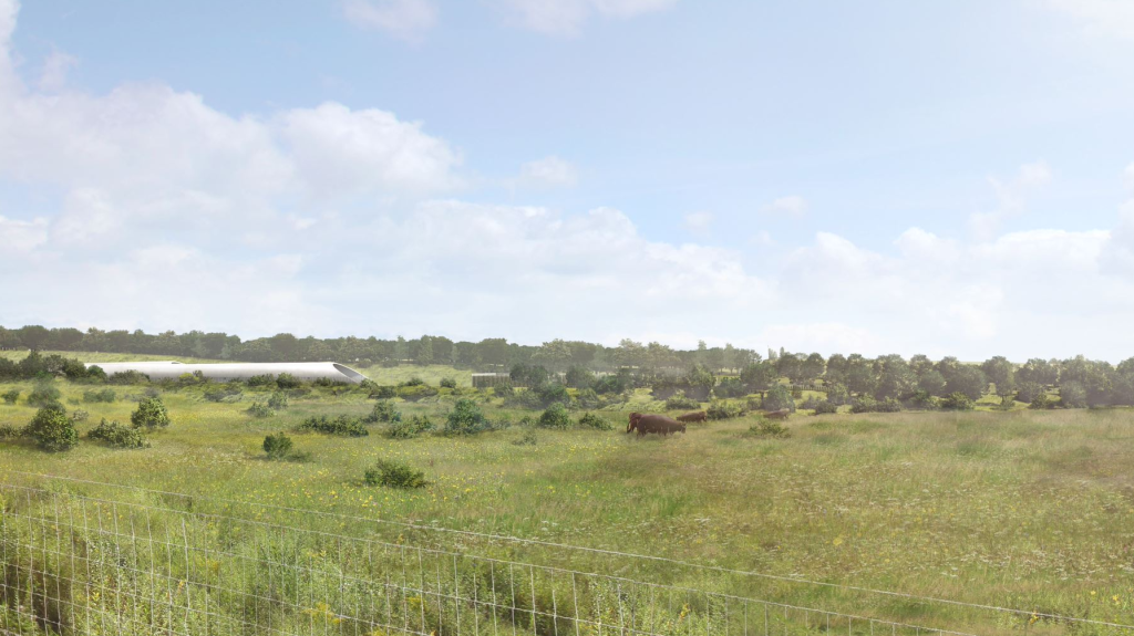 Picture of railway portal blending into grassland surroundings with cattle feeding on grass