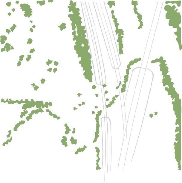 Image of existing local vegetation patterns