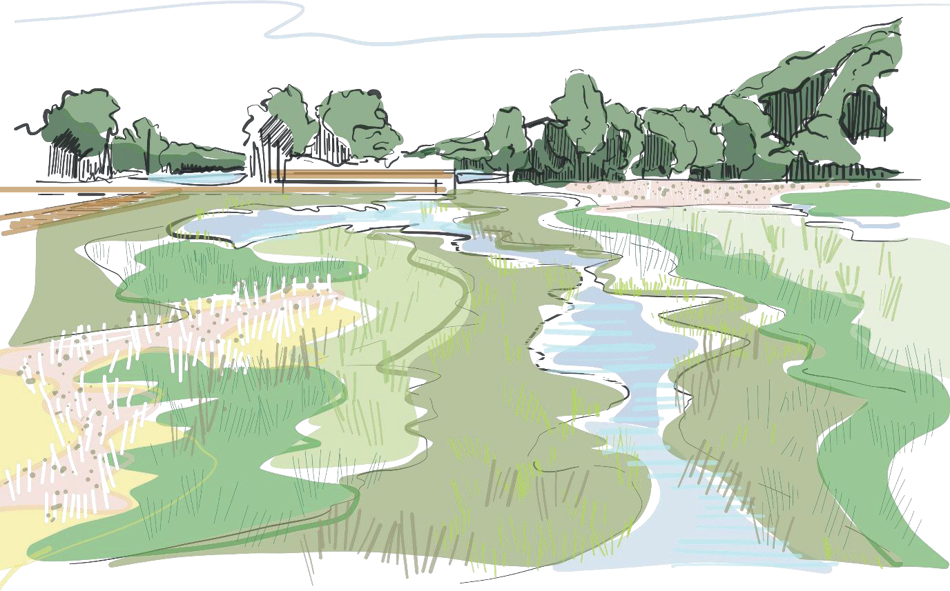 An artist Impression of the adaptive wetland habitat creation surrounding the River Cole