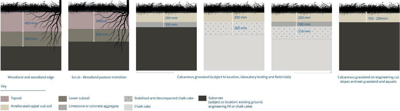 Diagram showing soil profiles for different habitat types