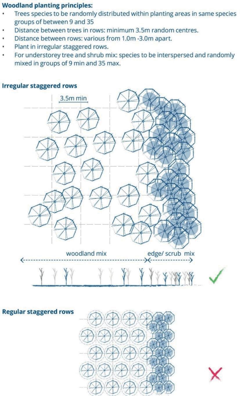 Diagram of planting principles