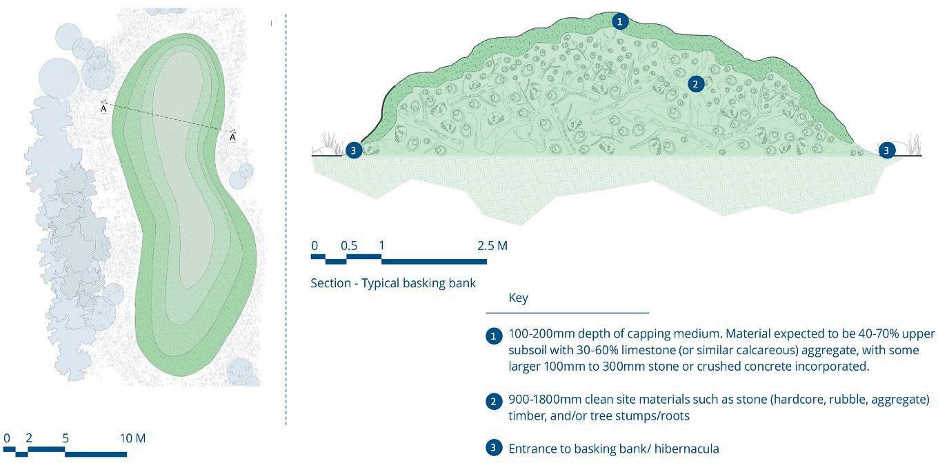 Plan and section views of basking banks