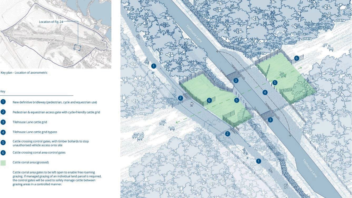 Tilehouse Lane cattle crossing and access principles