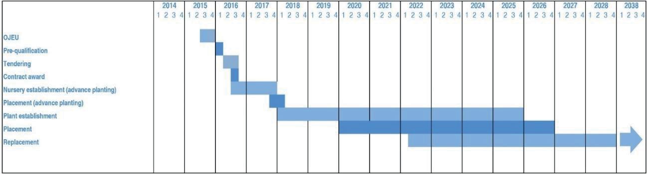 Graph showing the initial and high-level planting procurement programme.