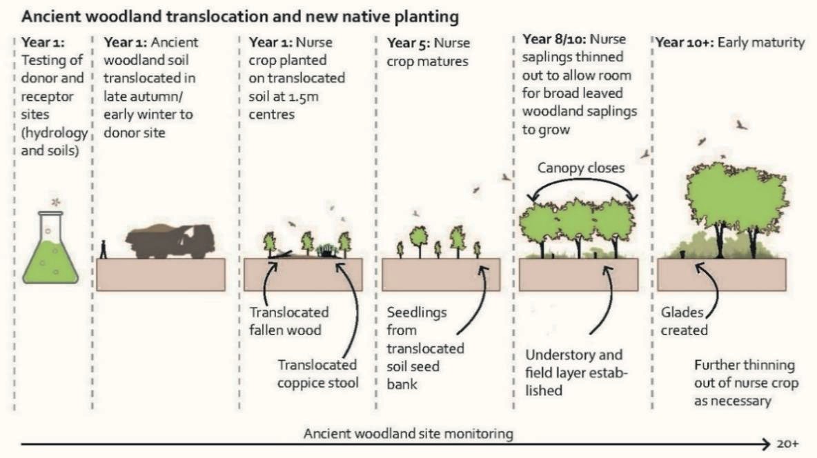 Image showing the  sequence of ancient woodland soils translocation.