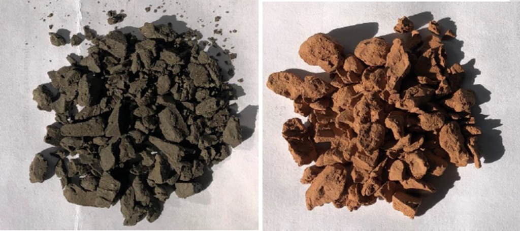 Picture of samples of London Clay