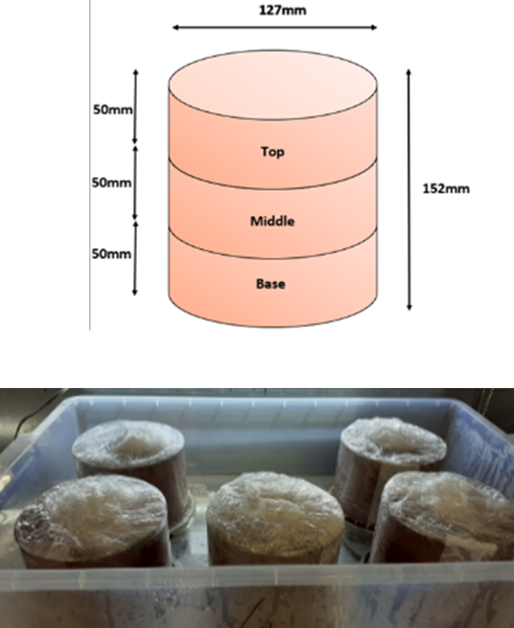 Picture of rising tide specimens 