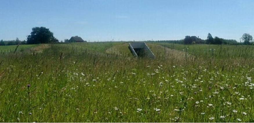 A field of grass with a small tunnel.

