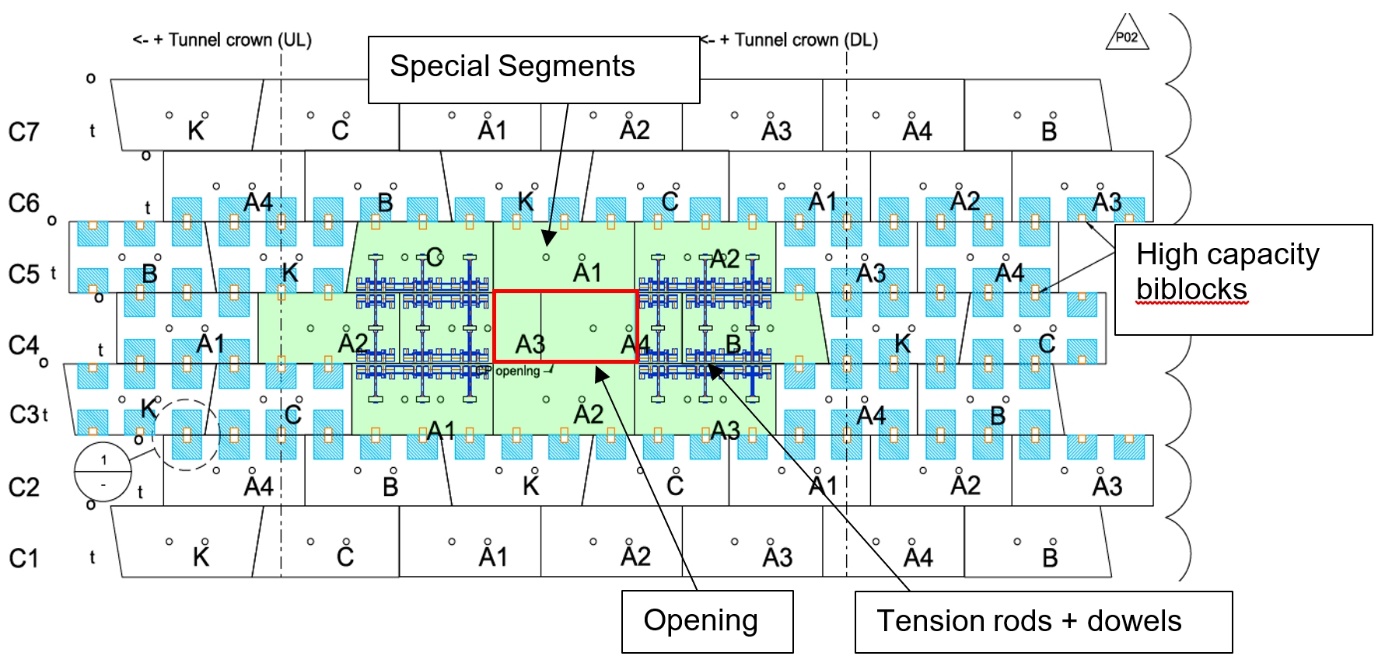 Diagram  of complete  macrostructure of special segments around openings 