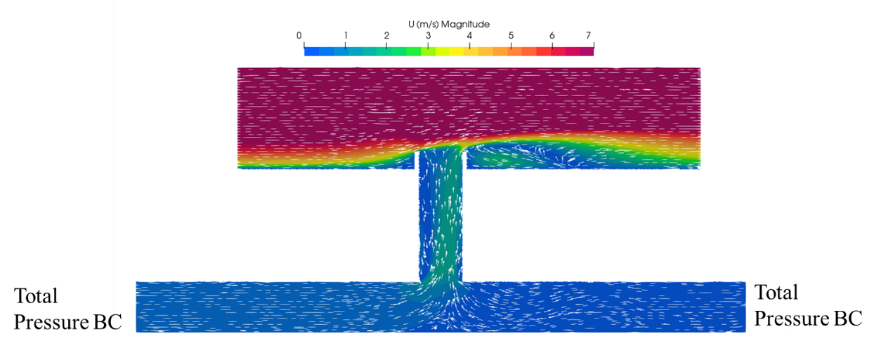 Image of cross-section through the induced flow case