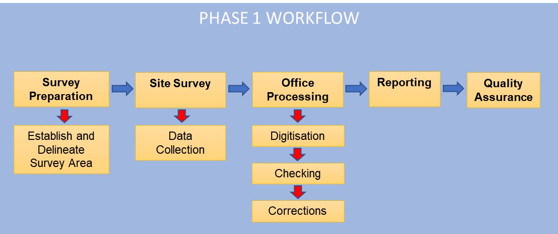 Flow chart showing the typical Phase 1 habitat survey workflow