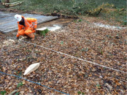 Picture of staff setting out the grid system 